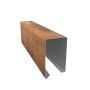 Golden Nut (11)